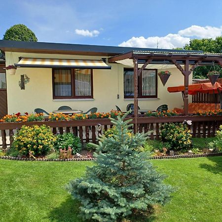 Ferienwohnung-Ullmann Ehrenfriedersdorf Экстерьер фото